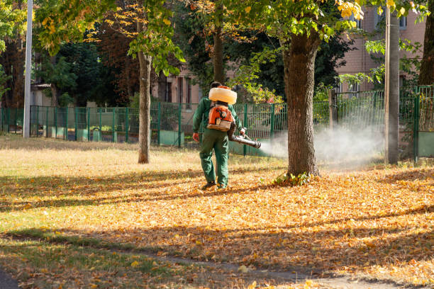 Best Pest Prevention Services  in Salem, MO