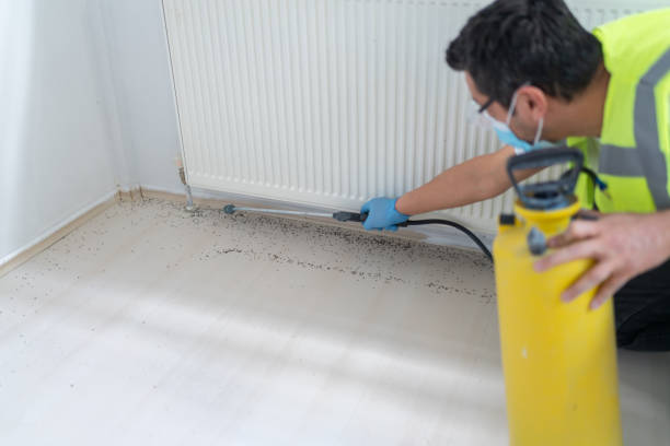 Best Pest Prevention Services  in Salem, MO