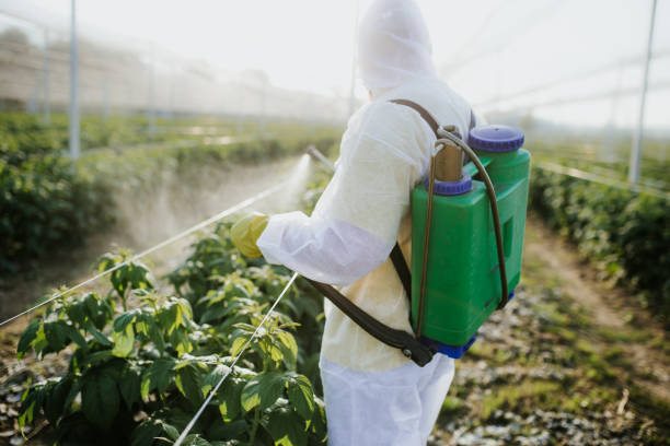 Best Pest Removal Services  in Salem, MO